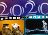 Cinema Caleader<span class=
